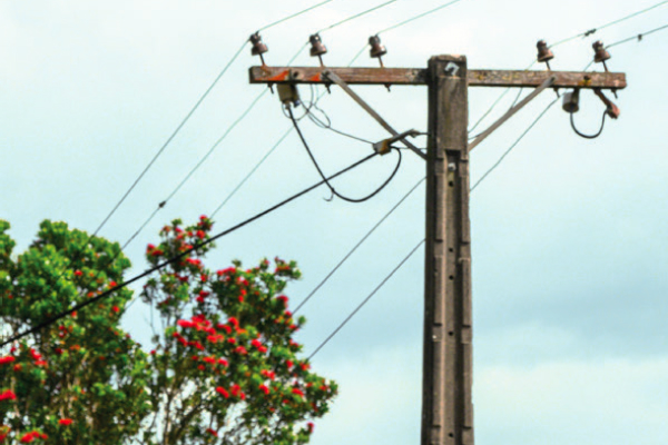 TreesPowerLines1-CB-600x400