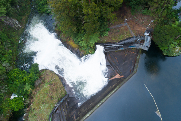 Kaimai | TL | 600x400 Kaimai | TL | 600x400