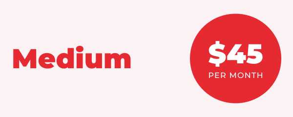 Medium mobile plan for $45 per month