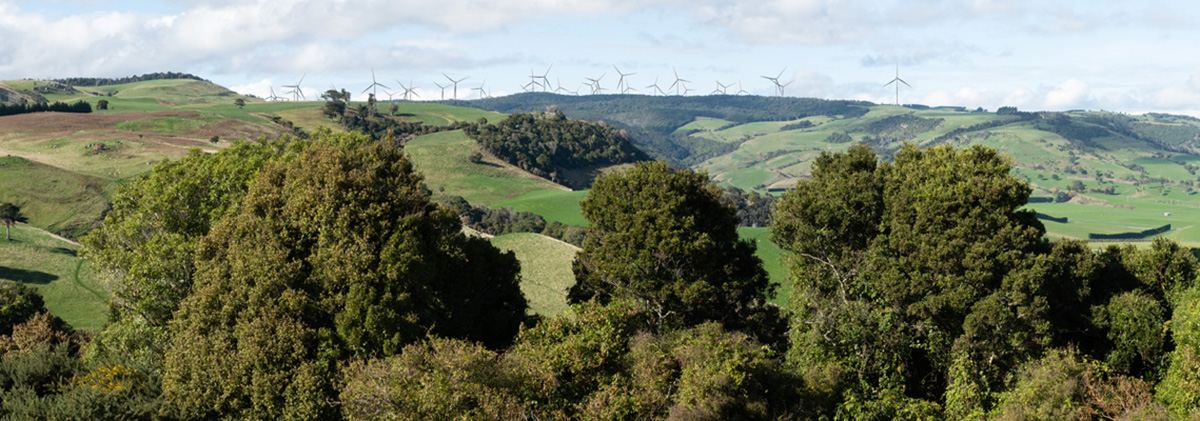 Southland wind farm | CB | 1200x420