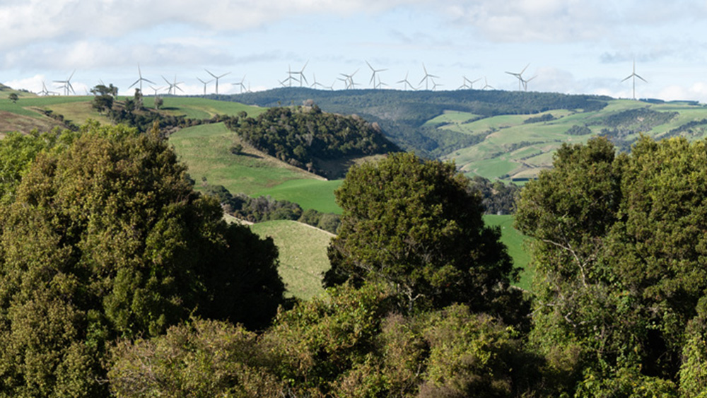 Video: Project overview of proposed Southland Wind Farm