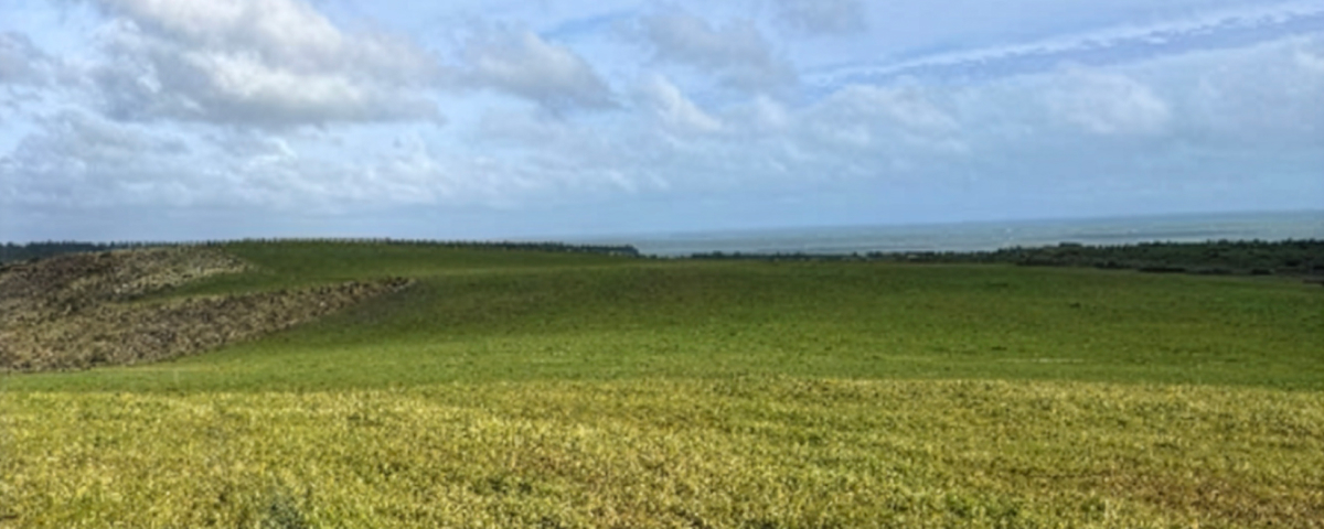 Ototoka | CB | 1200x480 Ototoka | CB | 1200x480