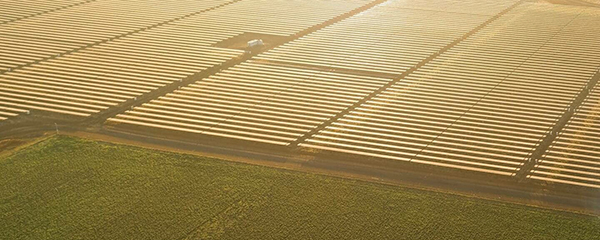 moa creek solar farm