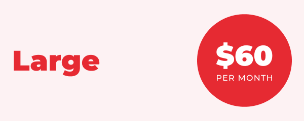 Large mobile plan for $60 per month