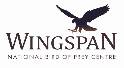 Wingspan National Bird of Prey Centre